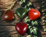 THE AMMO BOXES SOLD OUT INSTANTLY!