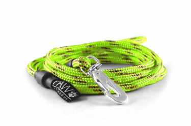 Lead with carabiner Hunter Neon Costumized in the group Training / Leads / Customized leads / Lead with carabiner  at PAW of Sweden AB (116)