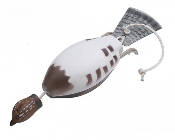 Dokken's Ruffed Grouse